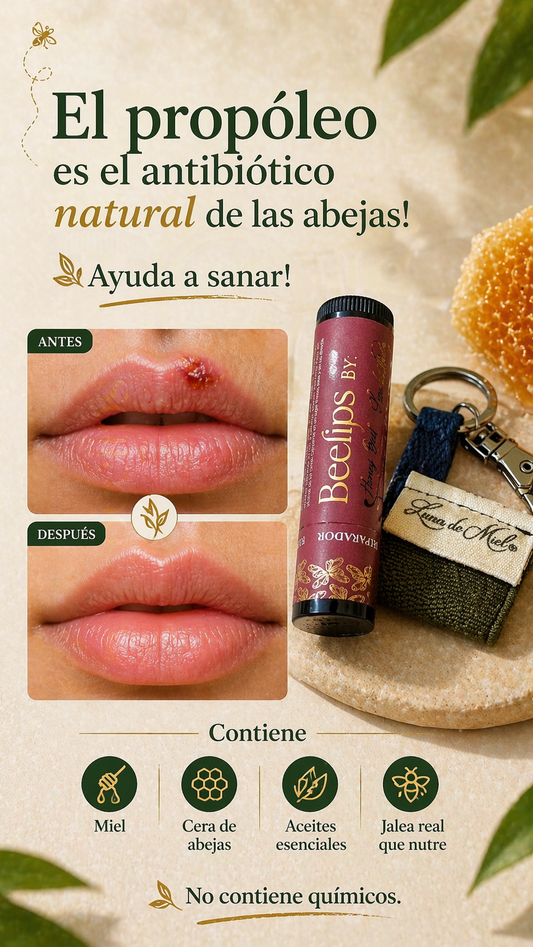 Beelips / Rojo