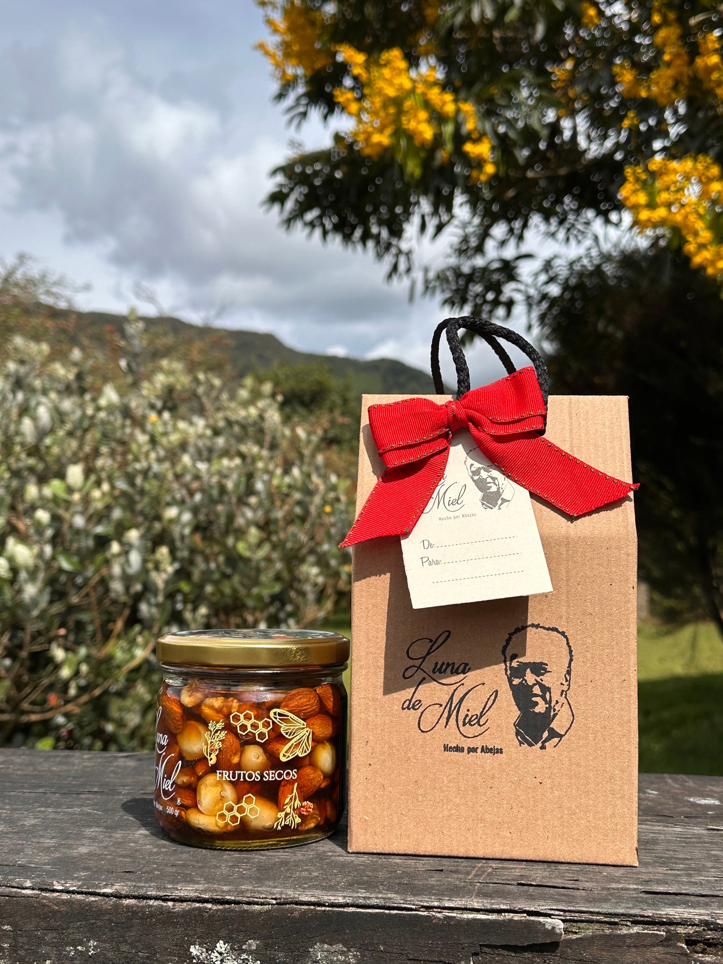 Luna de miel con frutos secos edición Especial de Navidad