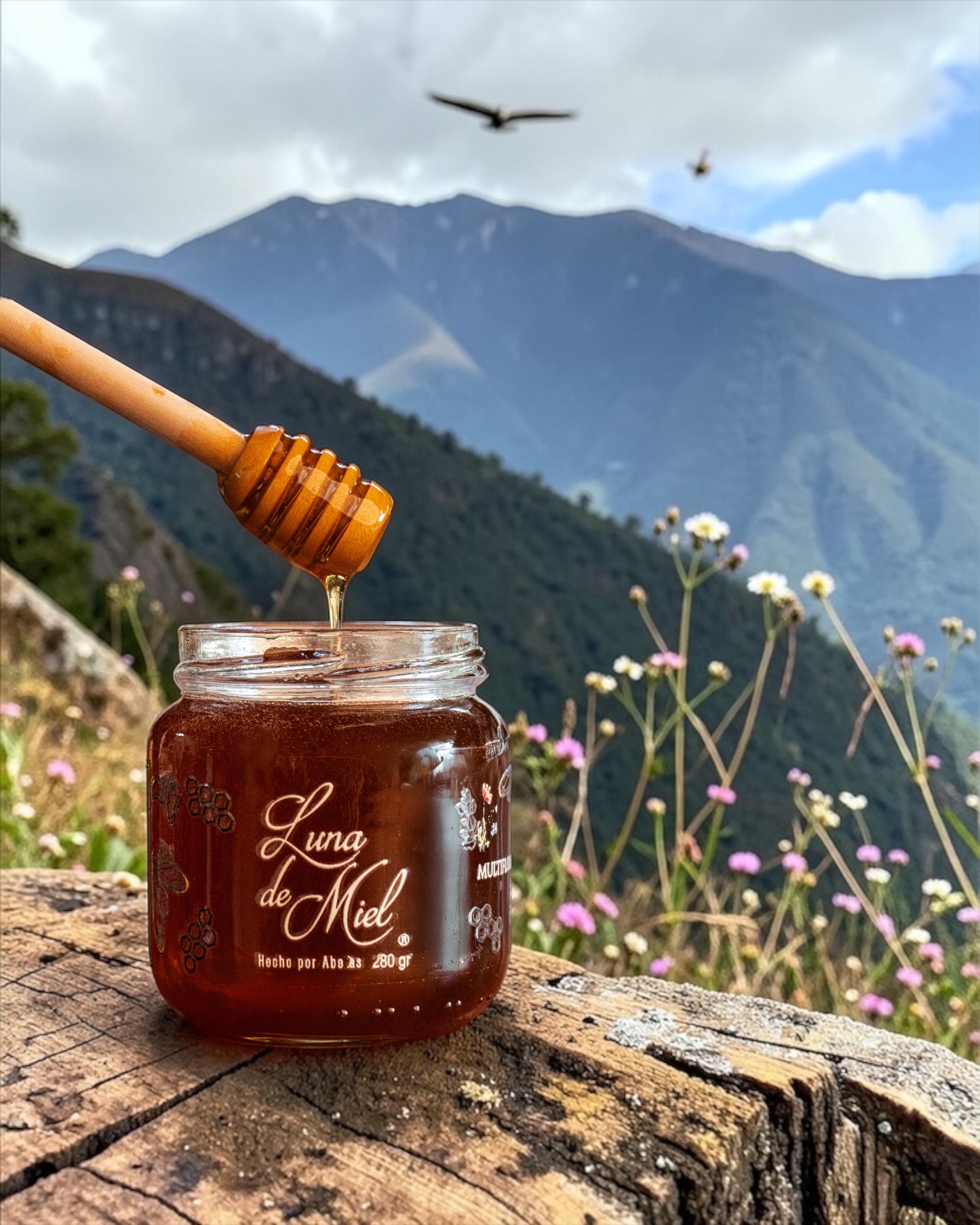 Miel Multifloral Orgánica