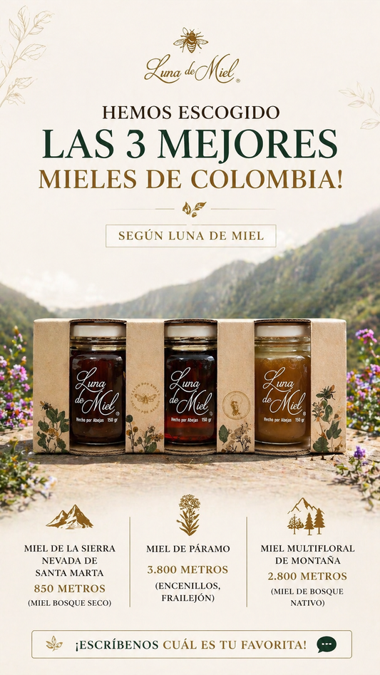 Las 3 Mejores Mieles de Colombia 🇨🇴 150 gr