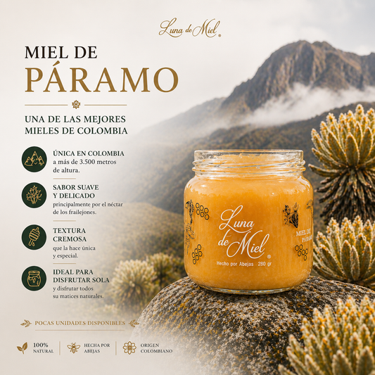 Miel de paramo