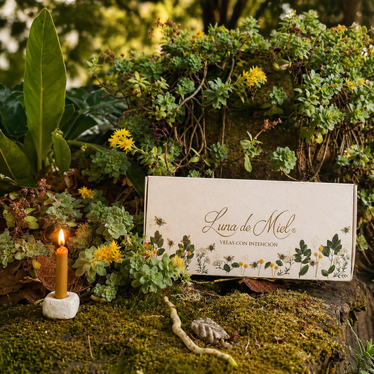Velas con Intención de Cera de Abejas — Caja Regalo