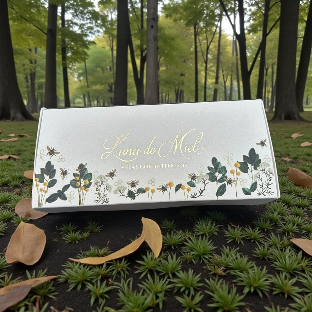 Velas con Intención de cera de abejas