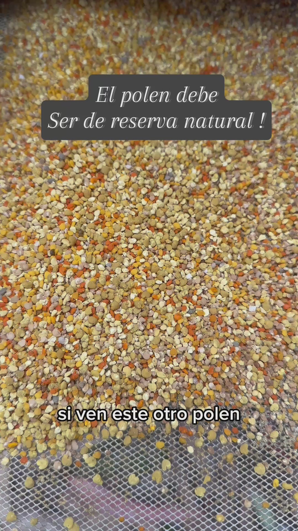 Polen organico 