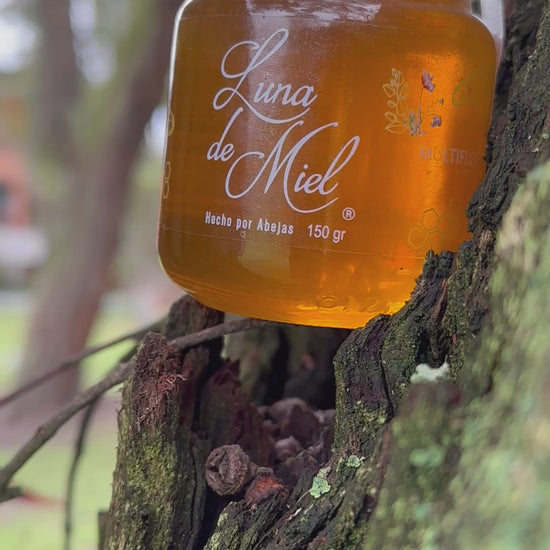 Miel Multifloral Orgánica